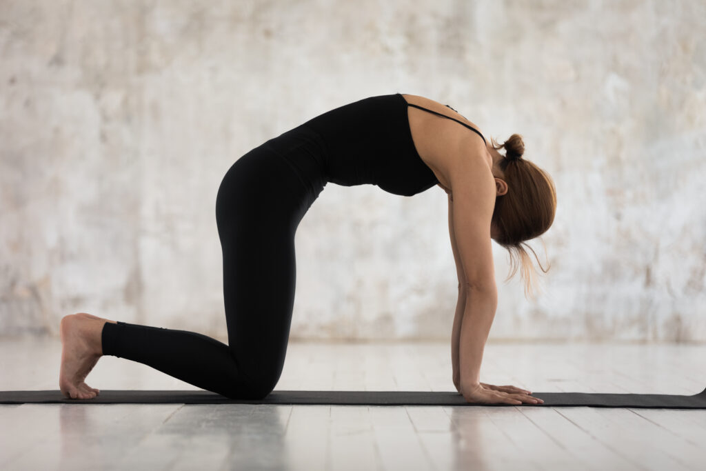 the woman showing the cat-cow pose to help with lower back pain